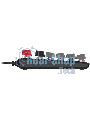 Клавиатура A4Tech S310N механическая черный/красный USB Multimedia for gamer LED кабель 1.8м