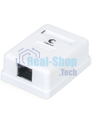 Розетка компьютерная Cabeus WS-8P8C-Cat.5e-1 RJ-45, категория 5e, одинарная, внешняя, Dual IDC