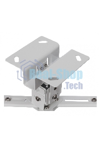 Кронштейн для проектора Buro PR07-W белый макс.12кг потолочный поворот и наклон