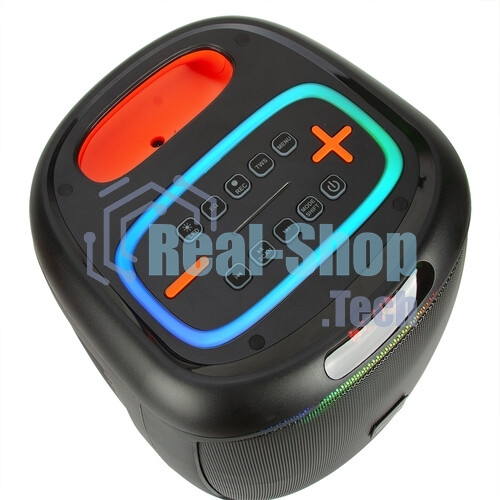 Колонка Eltronic 10