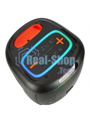 Колонка Eltronic 10