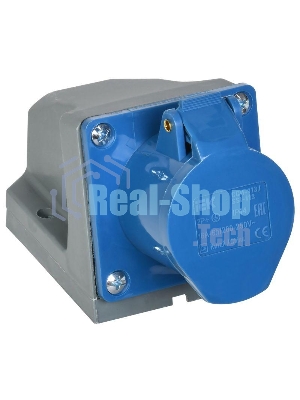 Розетка ОП 16А 220В 2P+PЕ ССИ-113 IP44 ИЭК PSR11-016-3