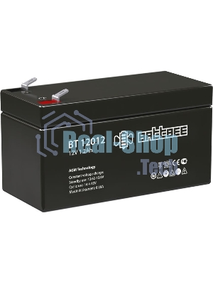 Аккумулятор BT 12012 BattBee