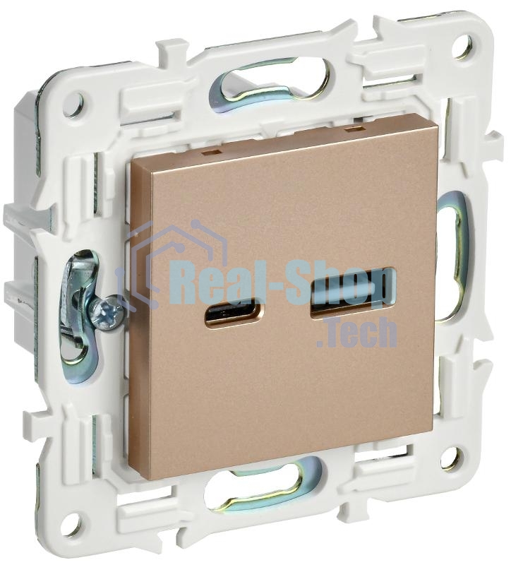 SKANDY Розетка USB A+C 3,1А SK-R14Sa песочный | SK-U22-D31-K98 | IEK