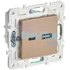 SKANDY Розетка USB A+C 3,1А SK-R14Sa песочный | SK-U22-D31-K98 | IEK