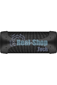 Колонка портативная Sven АС PS-370 черный 40W 2.0 BT