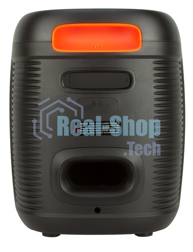 Колонка Eltronic 10
