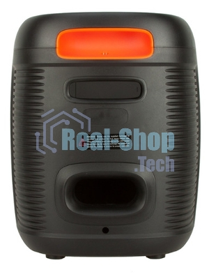 Колонка Eltronic 10