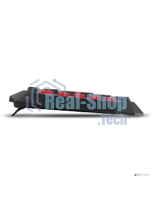 Клавиатура проводная ExeGate Multimedia Professional Standard LY-505M проводная, USB, черный