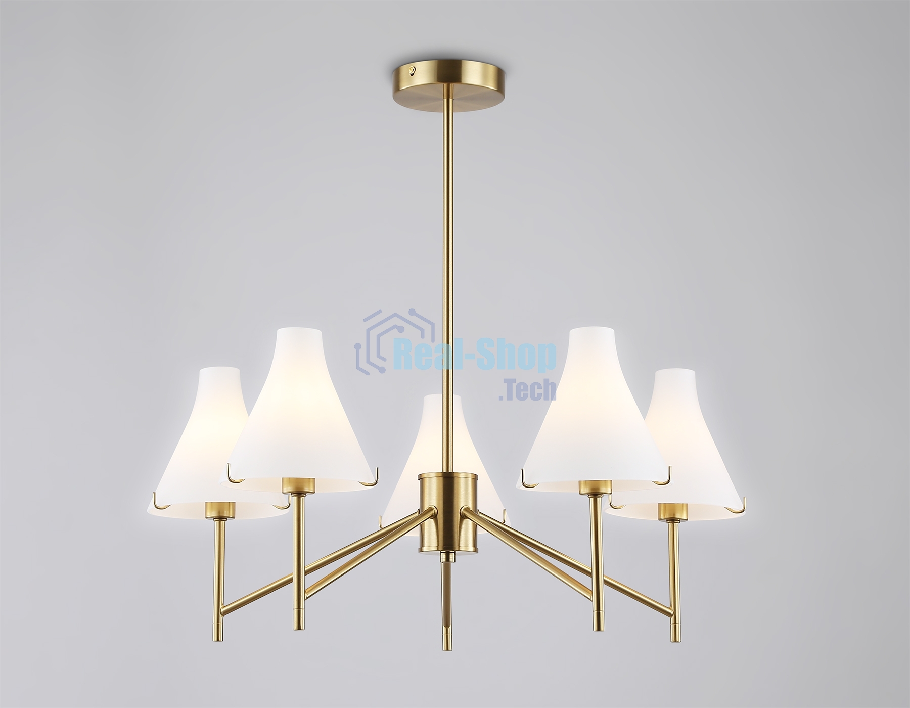 Люстра Ambrella light LH57133/5 BS/FR латунь/белый матовый E14/5 max 40W D650*590