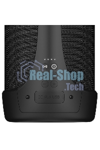 Колонка портативная Sven АС PS-370 черный 40W 2.0 BT