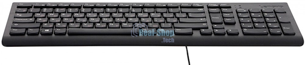 Клавиатура проводная Lenovo GX30M39684 300 USB Keyboard