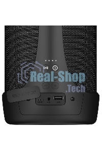 Колонка портативная Sven АС PS-370 черный 40W 2.0 BT