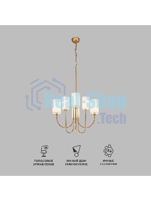 60164/6/ подвесной светильник/ латунь Smart