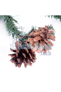 Еловый шлейф Neon-night 2,7 м с шишками, объем 36 см