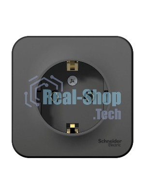 Розетка ОП Blanca 16А 250В без шторок c заземл. изол. пласт. антрацит SchE BLNRA010116
