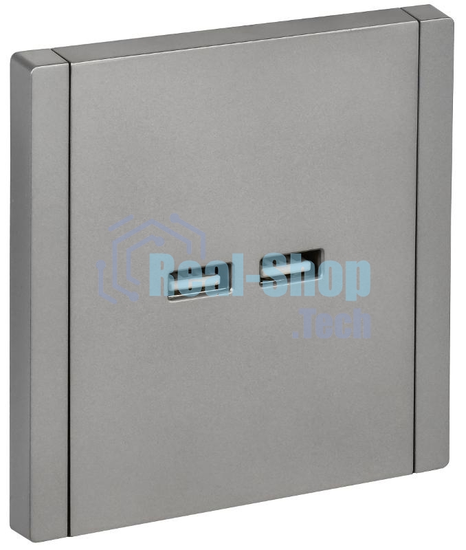Розетка IEK FORTE&PIANO FP549 USB A+A 3,1А сталь
