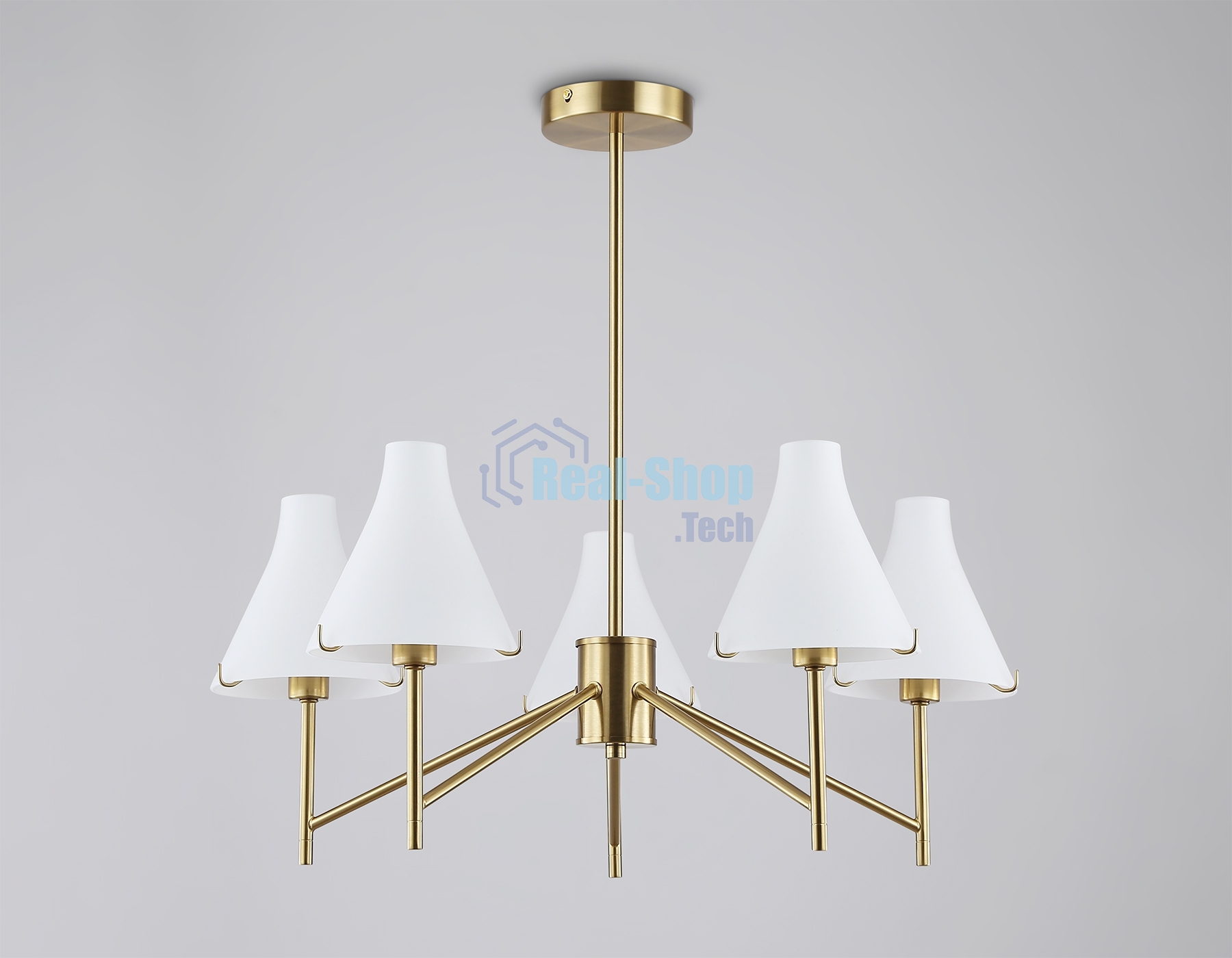 Люстра Ambrella light LH57133/5 BS/FR латунь/белый матовый E14/5 max 40W D650*590