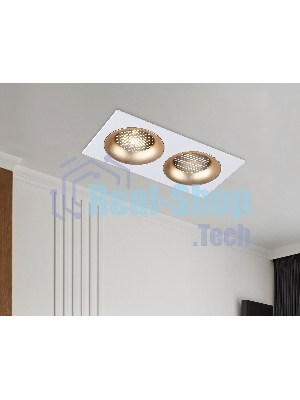Светильник встраиваемый Ambrella light TN102733/2 WH/GD белый/золото GU5.3 175*92*23