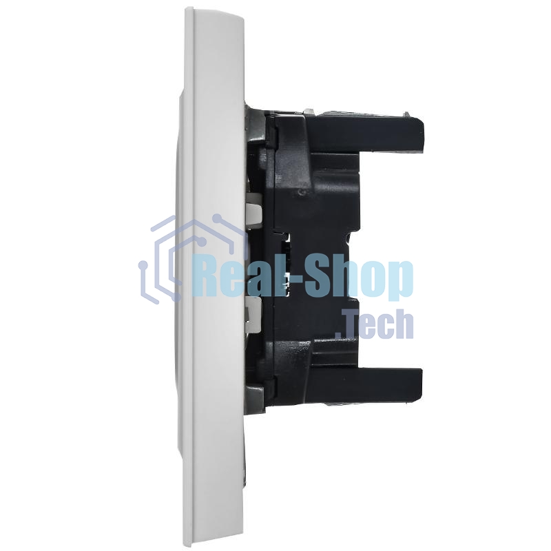 Розетка IEK BR-R20-10-K91-F 2-м СП BRITE РС12-2-БрАБ 10А в сборе без заземл. без защ. шторок арктич. бел.