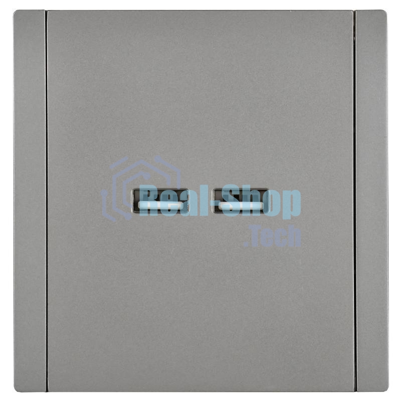 Розетка IEK FORTE&PIANO FP549 USB A+A 3,1А сталь