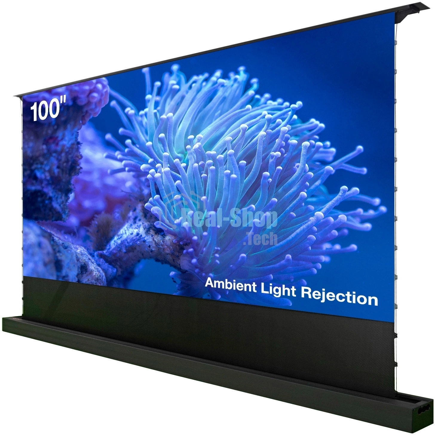 Экран Cactus 125x221 см FloorRising CS-PSFRALR-221X125 16:9 напольный рулонный черный (моторизованный привод)