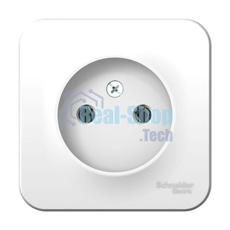 Розетка ОП Blanca 16А 250В без шторок без заземл. изол. пласт. бел. SchE BLNRA000111