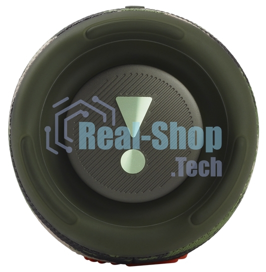 Портативная акустика JBL Charge 5, камуфляж