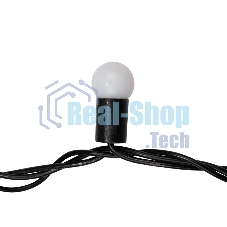 Гирлянда Neon-night LED ClipLight - 