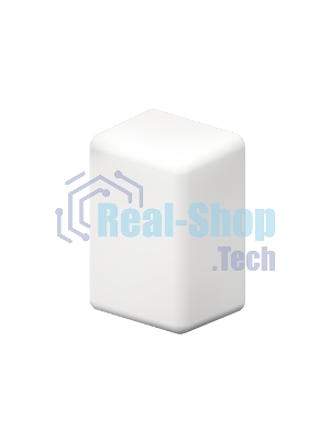 Заглушка для кабель-канала LM 25х17 ДКС 00578