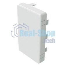 Заглушка для кабель-канала LAN 80х60 ДКС 00872