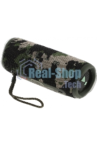 Портативная акустика JBL Flip 6, камуфляж