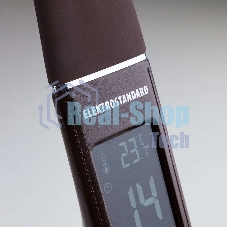 Светильник Elektrostandard TL90220 светодиодный настольный Elara коричневый a037504