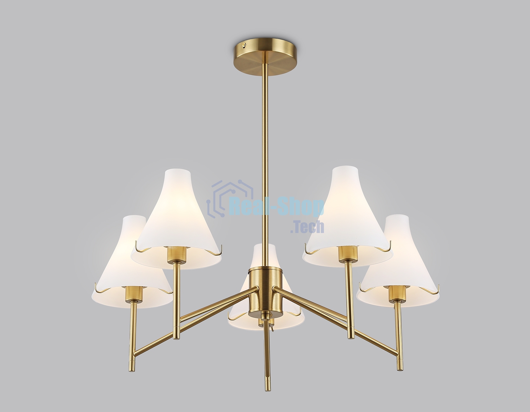 Люстра Ambrella light LH57133/5 BS/FR латунь/белый матовый E14/5 max 40W D650*590