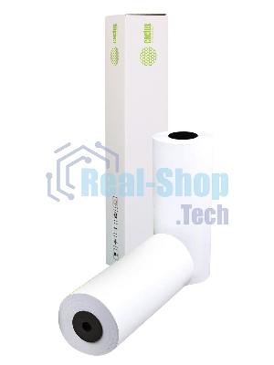 Бумага Cactus CS-LFP80-297457 12