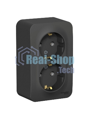 Розетка 2-м ОП Blanca 16А 250 В без шторок c заземл. изол. пласт. антрацит SchE BLNRA010216