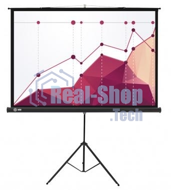 Экран Cactus 180x180 см Triscreen CS-PST-180x180 1:1 напольный рулонный белый