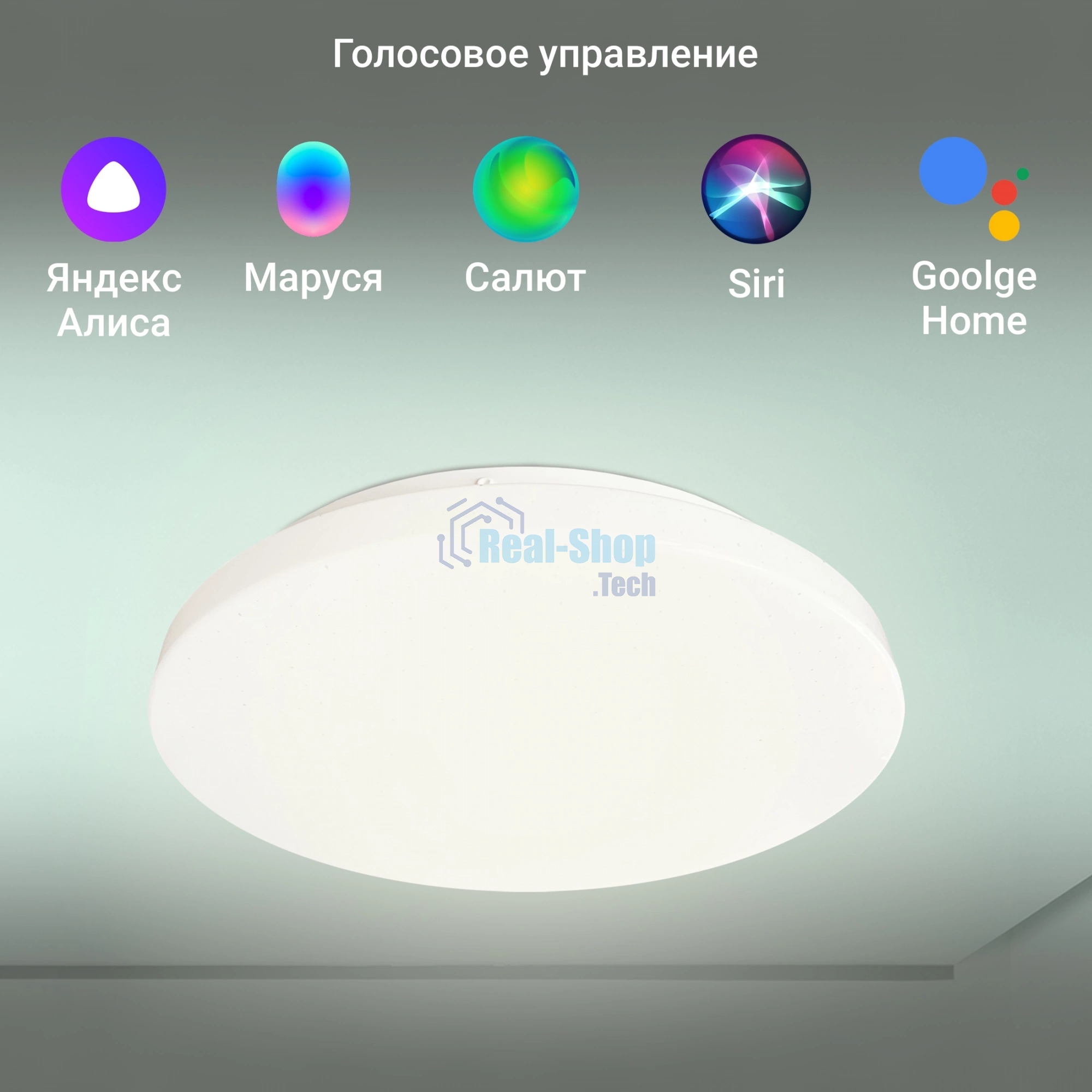 Умный светильник Digma TopLight TL25 потолоч. белый (TL25)