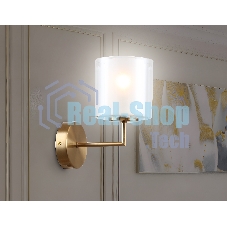 Настенный светильник Ambrella light LH56015 BS/FR латунь/белый матовый E14 max 40W 190*120*220
