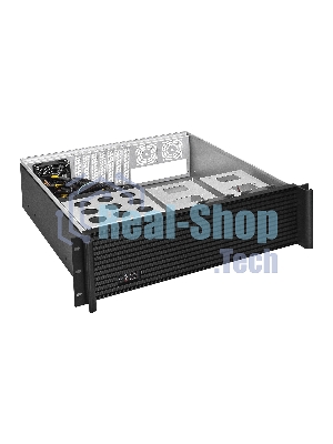Серверный корпус ExeGate Pro EX293198RUS 3U450-08 (RM 19