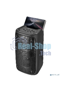 Портативная колонка Defender Boomer 20 20Вт Light/BT/FM/USB/AUX/MIC черный