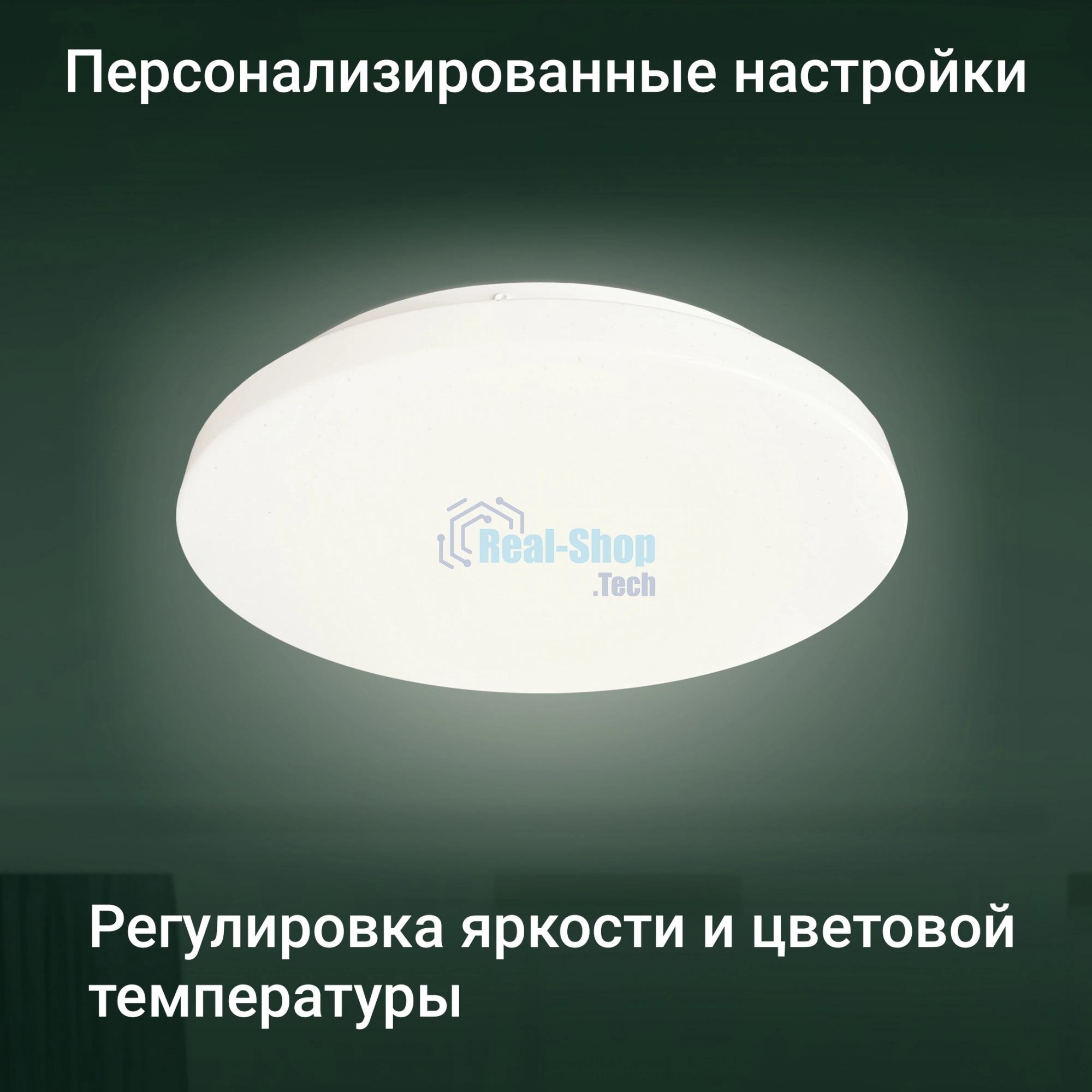 Умный светильник Digma TopLight TL25 потолоч. белый (TL25)