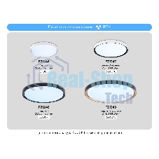 Потолочный светодиодный светильник Ambrella light FZ1247 WH/BK белый/черный IP54 20W 5000K D300*60 (Без ПДУ)