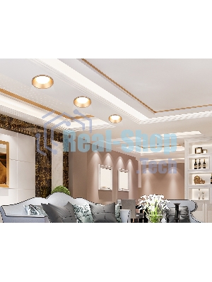 Светильник Ambrella light TN51815 GD золото GX53 max 15W D105*36