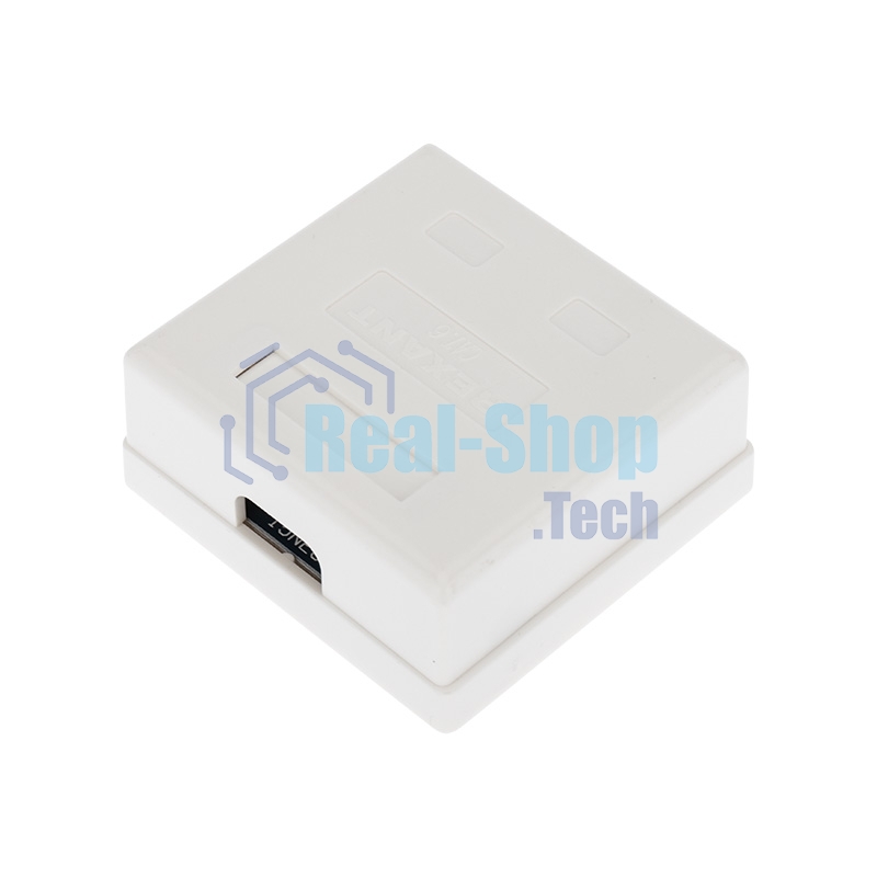Рoзетка компьютерная внешняя Rexant 2-порта RJ-45 (8P8C), UTP неэкранированная, категория 6