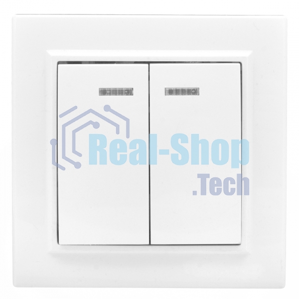 Выключатель 2-клавишный СП с индикатором,10А, белый EKF Basic Минск