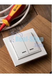 Выключатель 2-клавишный СП с индикатором,10А, белый EKF Basic Минск