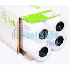 Бумага Cactus Eco CS-LFP80-1067457E-4 42