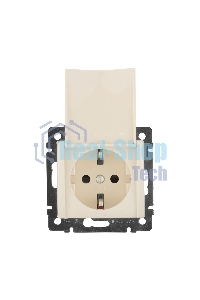 Механизм розетки 1-м СП Valena с защ. крышкой защ. шторки с заземл. сл. кость Legrand 774322