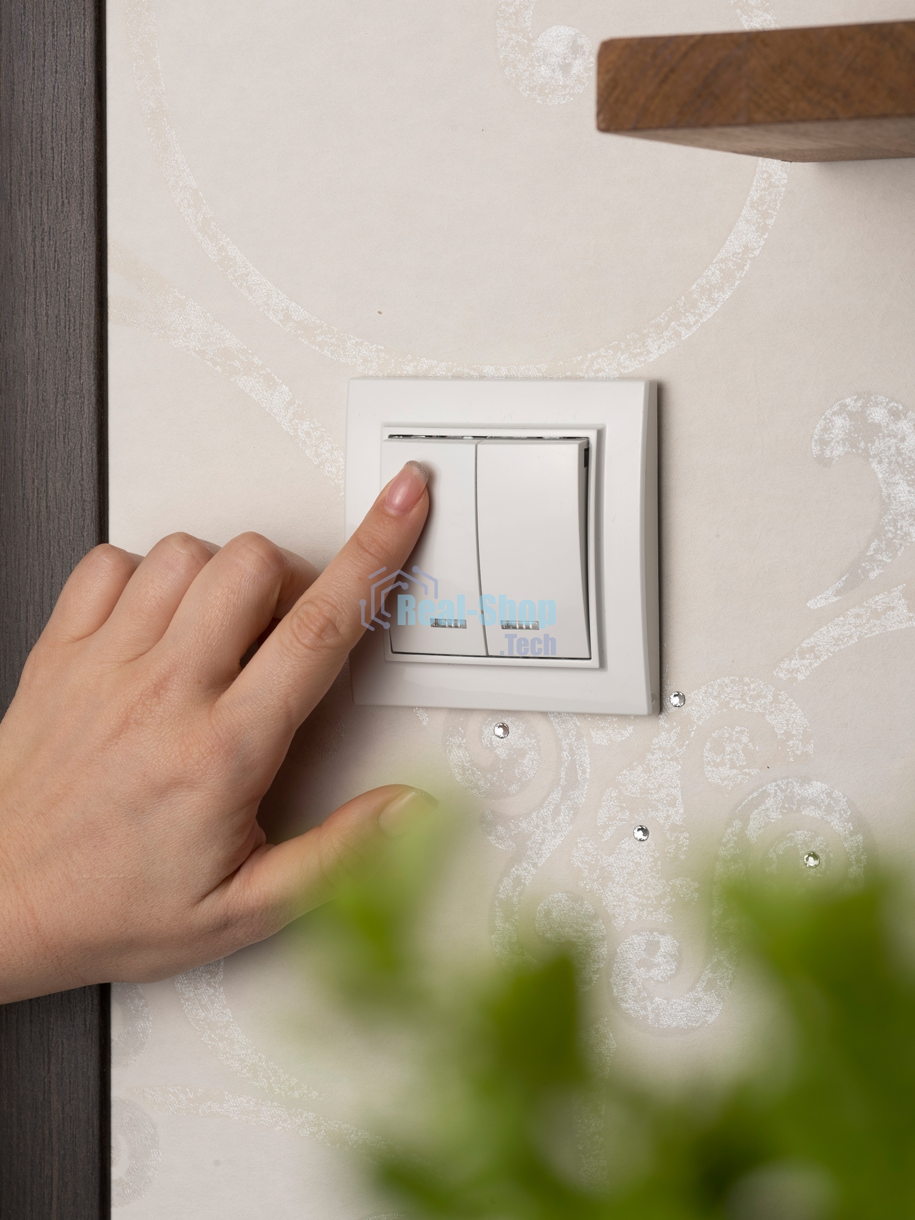 Выключатель 2-клавишный СП с индикатором,10А, белый EKF Basic Минск